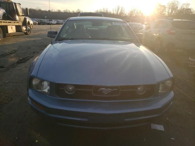 2005 Ford Mustang