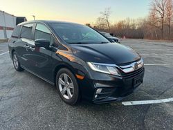 Honda salvage cars for sale: 2019 Honda Odyssey EXL