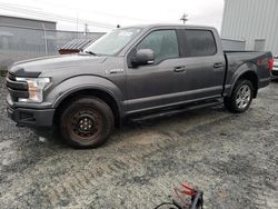 Salvage cars for sale from Copart Elmsdale, NS: 2019 Ford F150 Supercrew