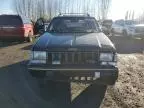 1995 Jeep Grand Cherokee Limited