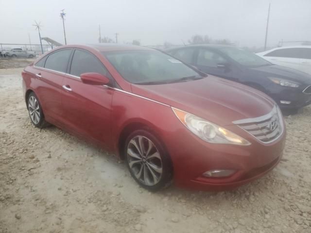 2013 Hyundai Sonata SE