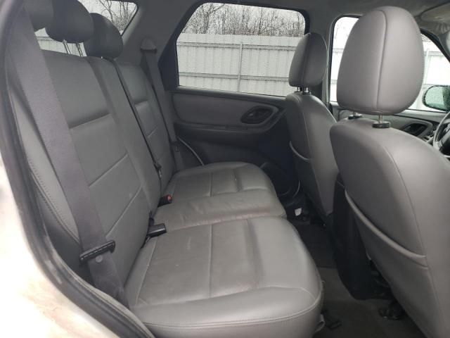 2006 Ford Escape XLT