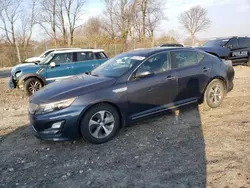 2014 KIA Optima Hybrid en venta en Cicero, IN