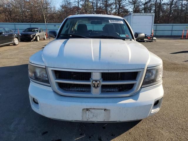 2011 Dodge Dakota SLT