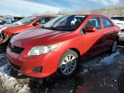 Toyota Corolla Vehiculos salvage en venta: 2010 Toyota Corolla Base