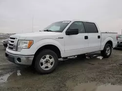 Salvage cars for sale at Antelope, CA auction: 2011 Ford F150 Supercrew