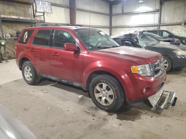 2012 Ford Escape Limited