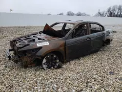 Salvage cars for sale at Rogersville, MO auction: 2010 Honda Accord EXL