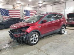 Salvage cars for sale at Columbia, MO auction: 2013 Ford Escape SE