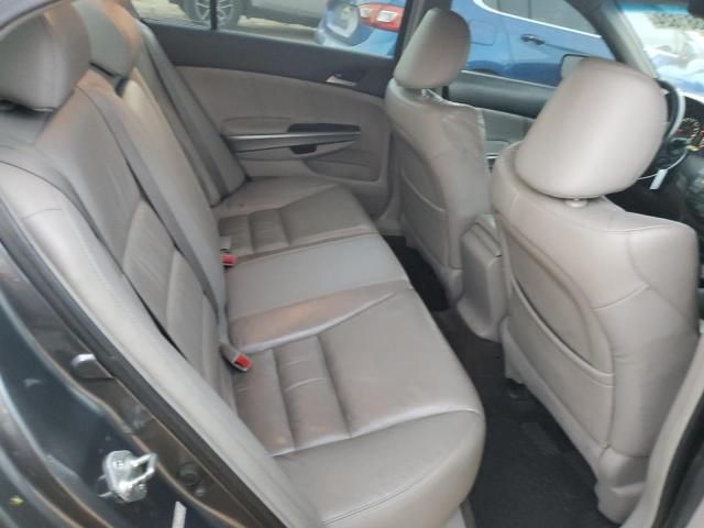 2008 Honda Accord EXL