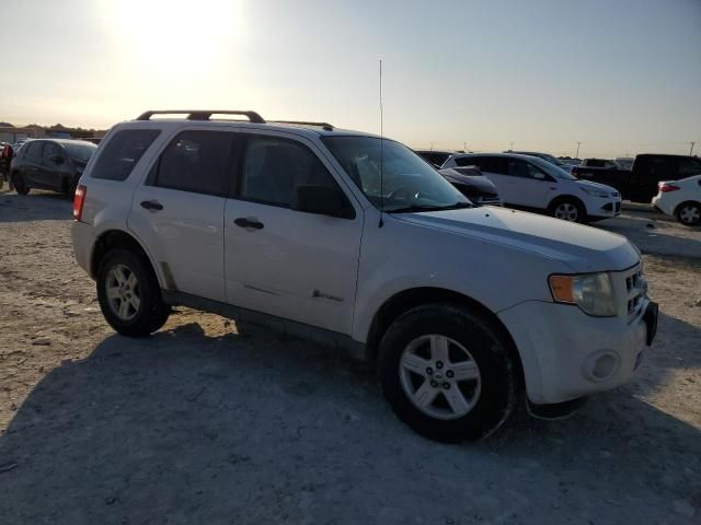 2009 Ford Escape Hybrid