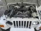 2005 Jeep Wrangler / TJ Sport