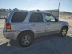 2003 Ford Escape Limited