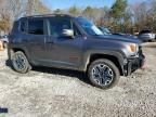 2017 Jeep Renegade Trailhawk