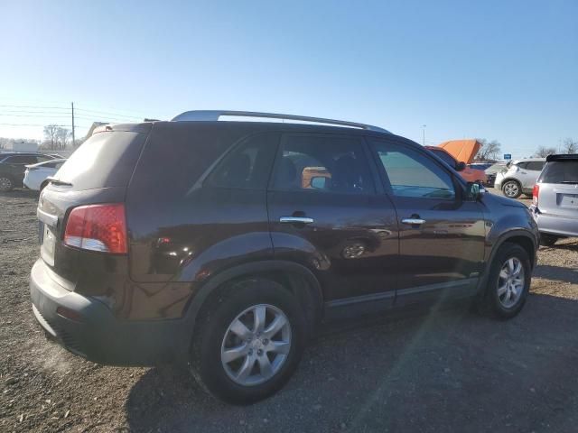 2011 KIA Sorento Base