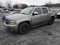 Salvage cars for sale at Grantville, PA auction: 2009 Chevrolet Avalanche K1500 LT