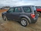 2011 Ford Escape XLS