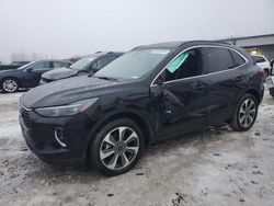 Salvage cars for sale at Wayland, MI auction: 2023 Ford Escape Platinum