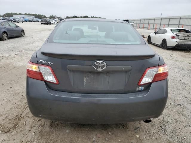 2008 Toyota Camry Hybrid