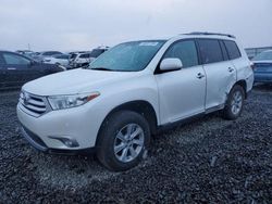 Salvage cars for sale at Reno, NV auction: 2013 Toyota Highlander Base