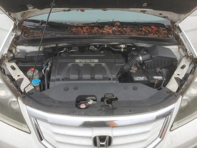 2010 Honda Odyssey EXL