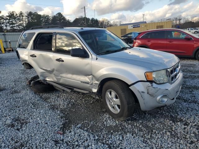 2008 Ford Escape XLT