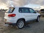 2014 Volkswagen Tiguan S