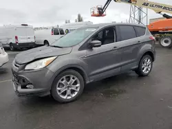 2013 Ford Escape SEL en venta en Hayward, CA