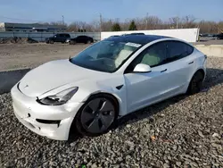 Salvage cars for sale at Louisville, KY auction: 2021 Tesla Model 3