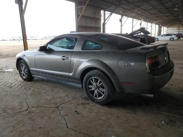 2005 Ford Mustang