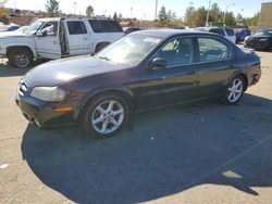 Salvage cars for sale at Gaston, SC auction: 2003 Nissan Maxima GLE