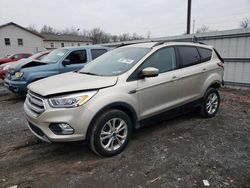 Salvage cars for sale at York Haven, PA auction: 2017 Ford Escape SE