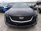 2020 Cadillac CT5 Luxury