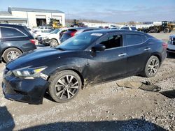 Salvage cars for sale at Earlington, KY auction: 2016 Nissan Maxima 3.5S