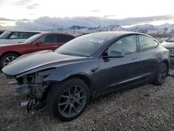 Salvage cars for sale at Magna, UT auction: 2023 Tesla Model 3