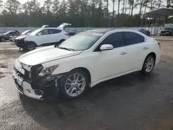 Salvage cars for sale at Harleyville, SC auction: 2010 Nissan Maxima S