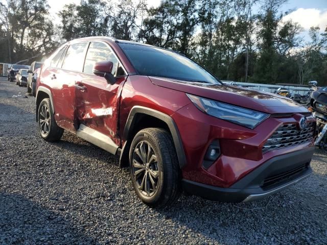 2024 Toyota Rav4 Limited