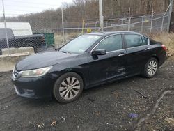 Salvage cars for sale at Baltimore, MD auction: 2014 Honda Accord EX