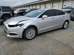 2014 Ford Fusion SE Hybrid en venta en Louisville, KY