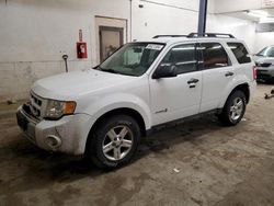 Ford Vehiculos salvage en venta: 2012 Ford Escape Hybrid