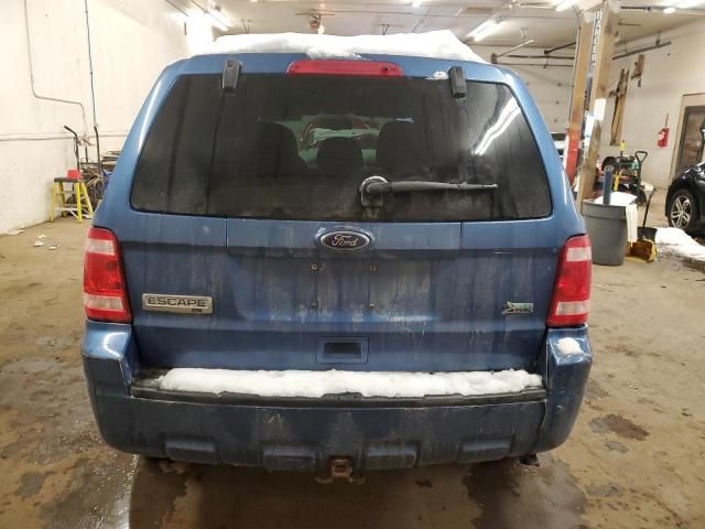 2010 Ford Escape XLT