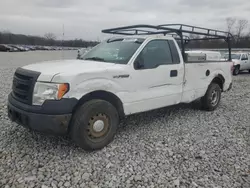 Salvage trucks for sale at Barberton, OH auction: 2013 Ford F150