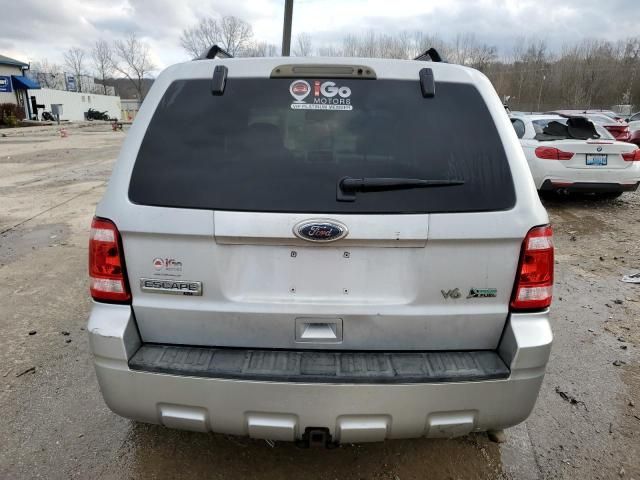 2010 Ford Escape XLT