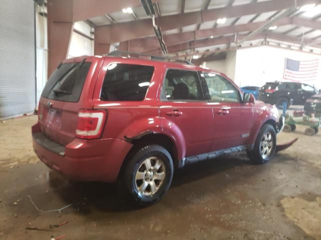 2008 Ford Escape Limited