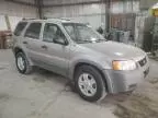 2001 Ford Escape XLT