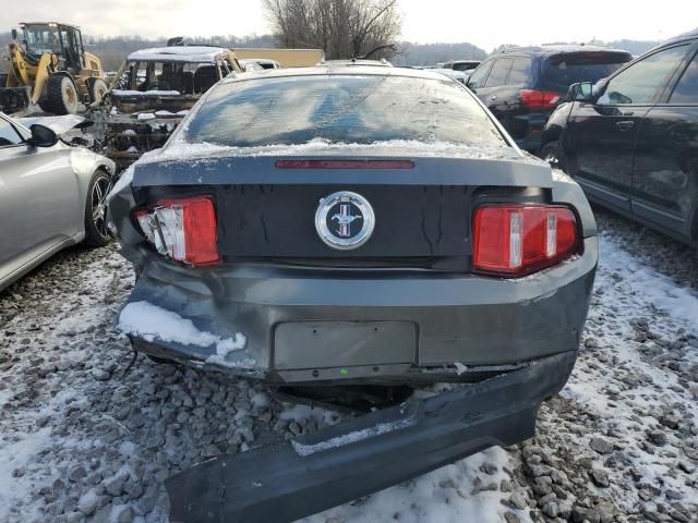 2010 Ford Mustang