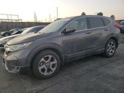 Salvage cars for sale at Wilmington, CA auction: 2019 Honda CR-V EX