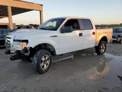 Salvage cars for sale from Copart West Palm Beach, FL: 2012 Ford F150 Supercrew