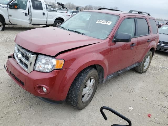 2010 Ford Escape XLT