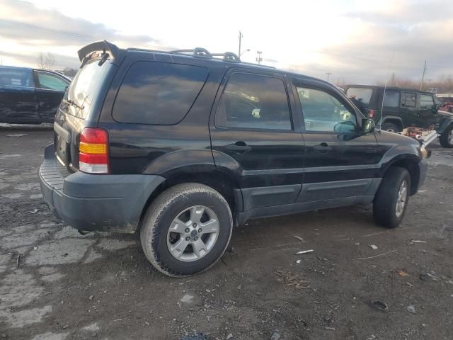 2005 Ford Escape XLT